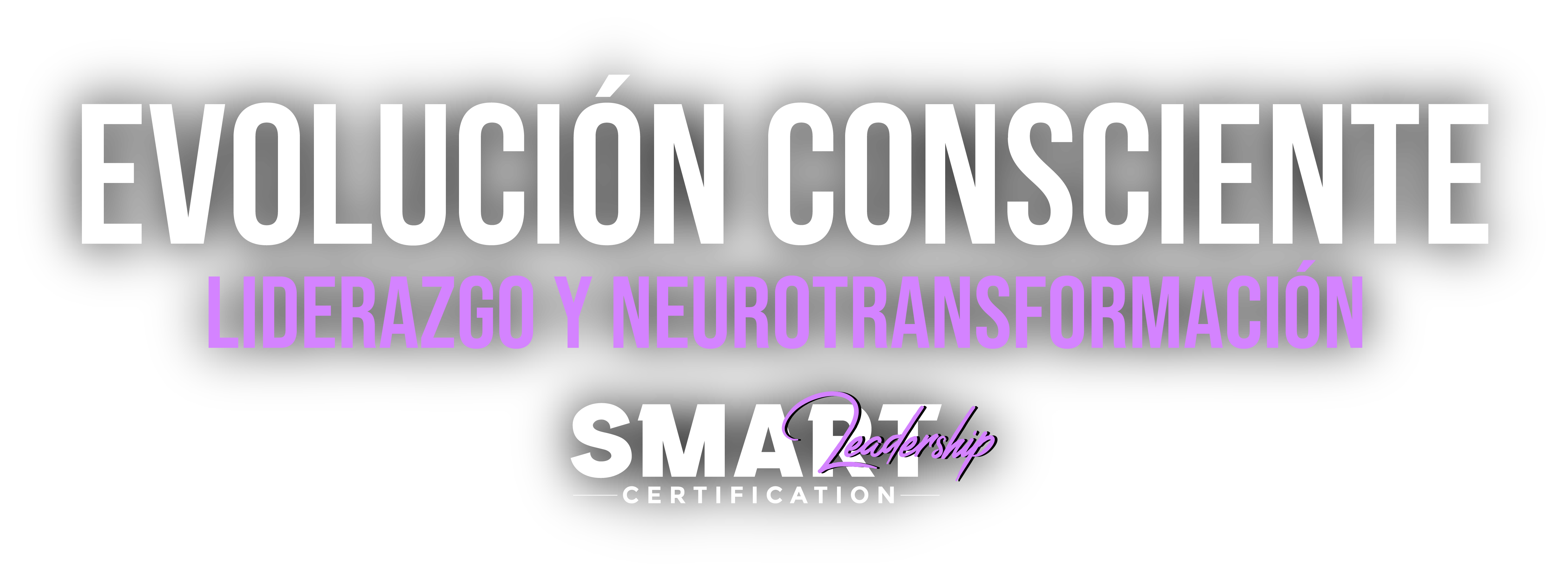 logo2 logo2